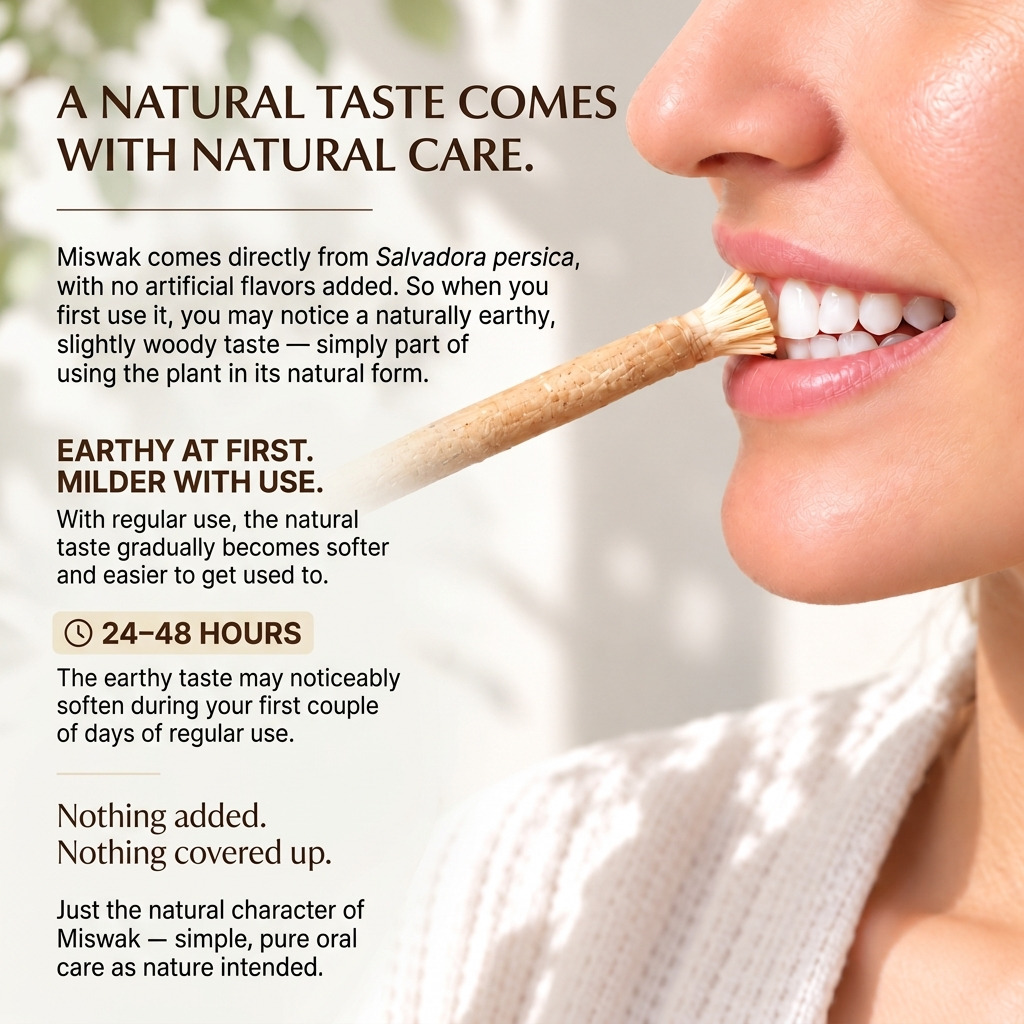Primal Shaw Miswak Sticks-Pack of 4