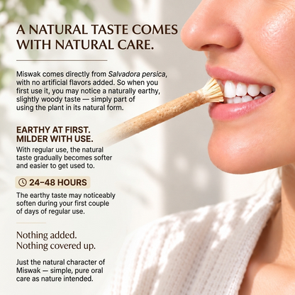 Primal Shaw Miswak Sticks-Pack of 4