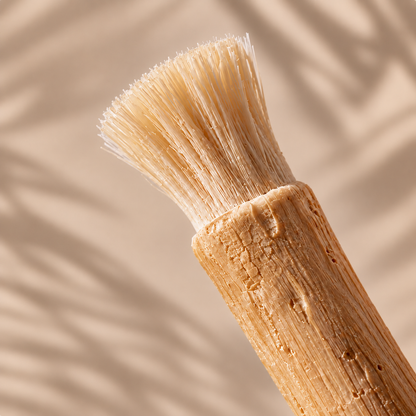 Primal Shaw Miswak Sticks-Pack of 4
